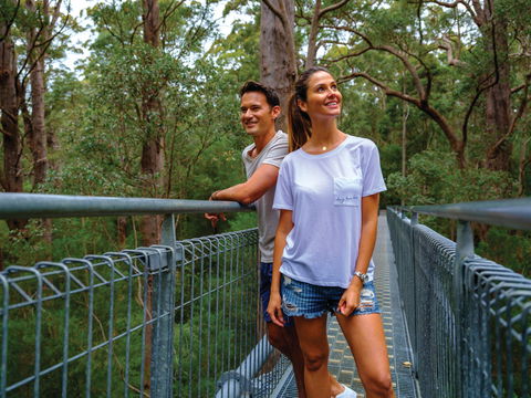 Valley Of The Giants Tree Top Walk - Cruises Travel 0