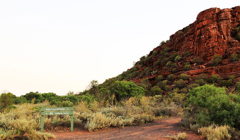Whyalla Conservation Park - Cruises Travel 0