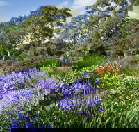 Wittunga Botanic Garden - Tourism Guide