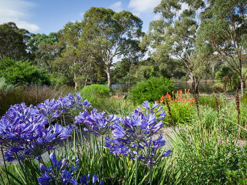 Wittunga Botanic Garden - Tourism Guide 0