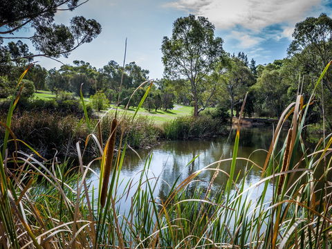 Wittunga Botanic Garden - Tourism Guide 2