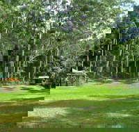 Woolgoolga Creek Picnic Area - Travel Agents