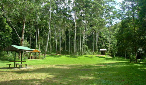Woolgoolga Creek Picnic Area - Cruises Travel 0
