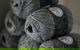 Adagio Mills - Raw Alpaca Fibre To Finished Garment All In One Place - thumb 0
