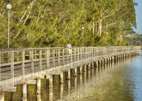 Apex Park Picnic Area Narooma - Tourism Guide 1