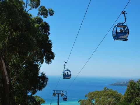 Arthurs Seat Eagle - Tourism Guide 0