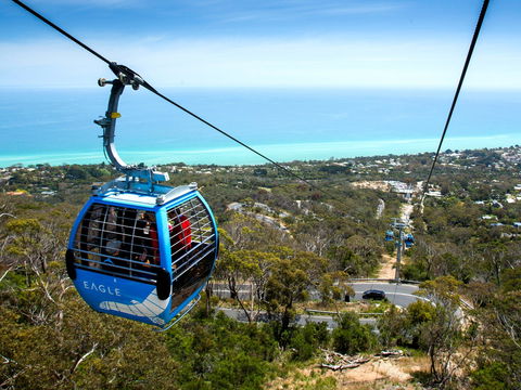 Arthurs Seat Eagle - Tourism Guide 1