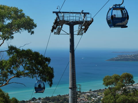 Arthurs Seat Eagle - Tourism Guide 2