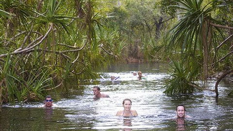 Berry Springs - Tourism Guide 0
