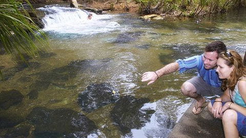 Berry Springs - Tourism Guide 1