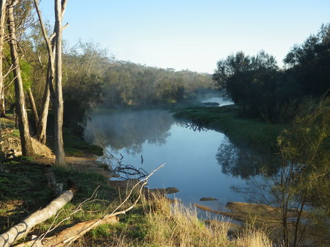 Bilya Walk Track - Tourism Guide 0