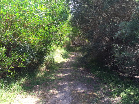 Bluff Track Fitness Trail - Tourism Guide 2