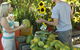 Broome Food And Heritage Trail - thumb 0