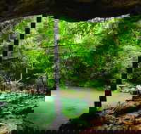 Buderim - Tourism Guide