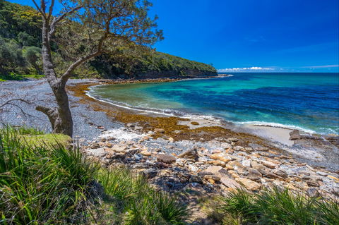 Burns Bay - Tourism Guide 0
