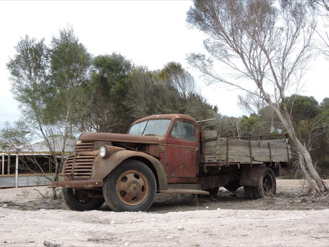 Emu Ridge Eucalyptus Pty Ltd - Tourism Guide 2