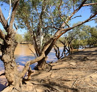 Eulo Five Mile Waterhole - Tourism Guide