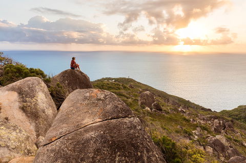 Fitzroy Island National Park - Cruises Travel 1