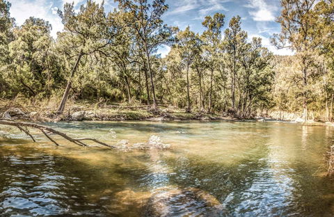 Flea Creek Picnic Area - Cruises Travel 0