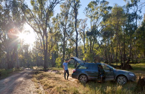 Forest Drive, Murrumbidgee Valley National Park - Tourism Guide 0