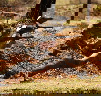 Freycinet Paintball and Campground - Cruises Travel
