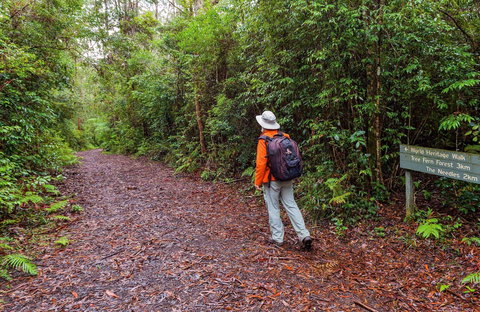 Gibraltar-Washpool World Heritage Walk - Travel Agents 0