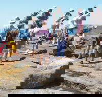Gondwana Coast Fossil Walk - Tourism Guide