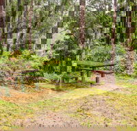 Goodenia Rainforest picnic area - Tourism Guide