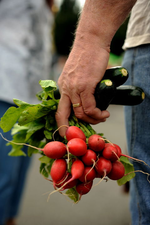 Harvest Launceston Community Farmers' Market - Tourism Guide 1