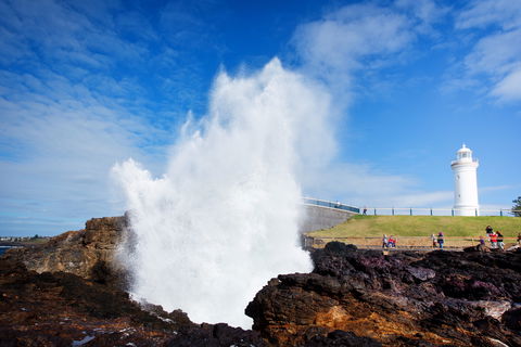 Kiama Blowhole - Tourism Guide 0