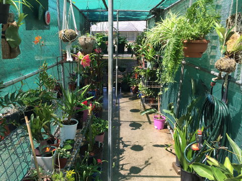Kilcoy Craft Market - Travel Agents 1