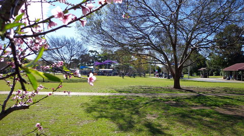 Koshigaya Park - Travel Search 0