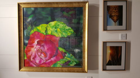 Macleay Valley Community Art Gallery - Travel Agents 0