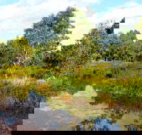 Mansfield Mullum Wetlands - Tourism Guide