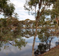 Merredin Railway Dam - Tourism Guide