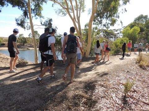 Merredin Railway Dam - Travel Search 1