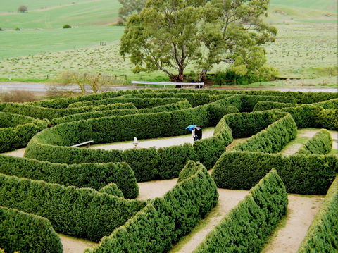 Mintaro Maze - Tourism Guide 1