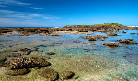 Moonee Beach Trail - Tourism Guide 0