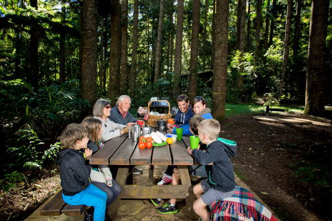 Mount Yarrahapinni Lookout - Tourism Guide 1