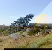 Mt Piper Nature Conservation Reserve - Tourism Guide