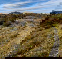 Murramarang Aboriginal Area Walking Track - Tourism Guide