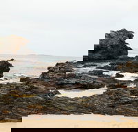 Mystery Bay Short Walk - Tourism Guide