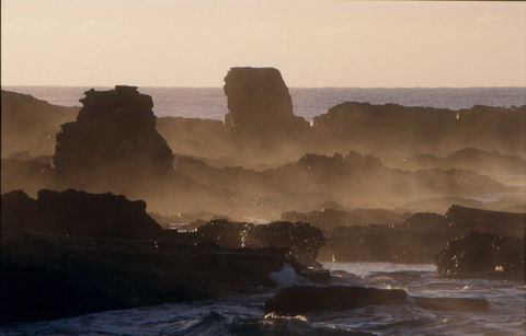 Mystery Bay Short Walk - Tourism Guide 1
