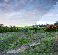 Nature and Foodies Trail - Cruises Travel