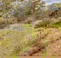 Old Mountain Road Walking Track - Cruises Travel