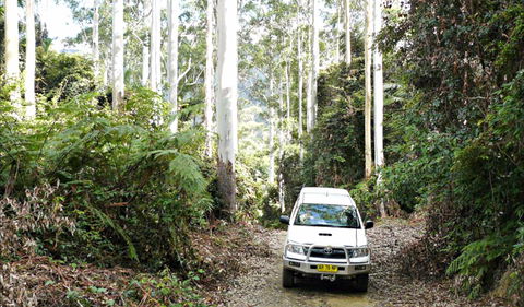 Orara Escarpment 4WD Touring Route - Cruises Travel 0