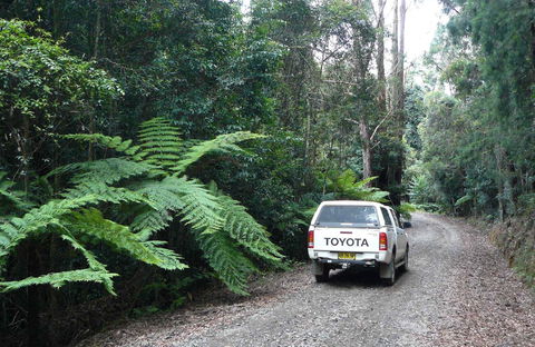 Orara Escarpment 4WD Touring Route - Cruises Travel 1