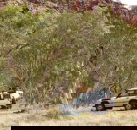 Owen Springs Reserve - Tourism Guide