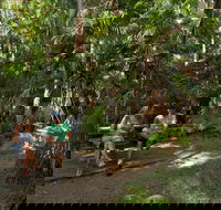 Palms picnic area - Travel Search