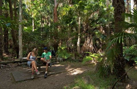Palms Picnic Area - Travel Search 0